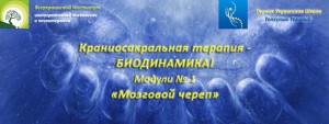 Мозговой череп